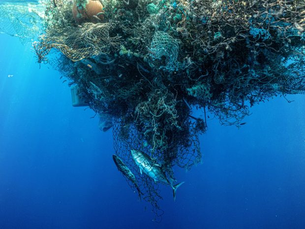 Marea insulă de gunoi din Pacific a devenit atât de mare încât pe ea s-a dezvoltat un întreg ecosistem. „E greu de știut exact ce se întâmplă”