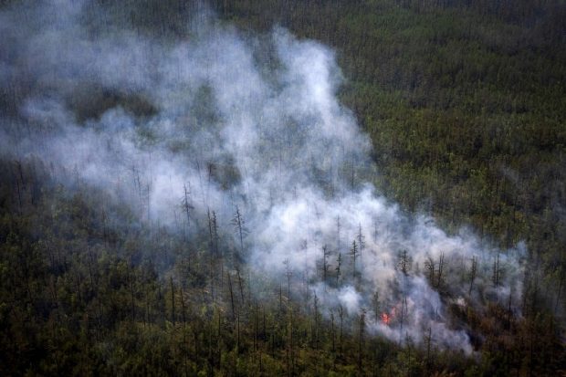 Zona arctică se transformă într-una mediteraneeană, avertizează meteorologii. Ce record de temperatură s-a înregistrat