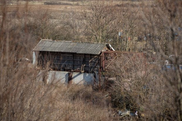 Dosar penal pentru ferma ilegală de urși din Arad, după ce Libertatea a prezentat cazul. Animalele erau înfometate