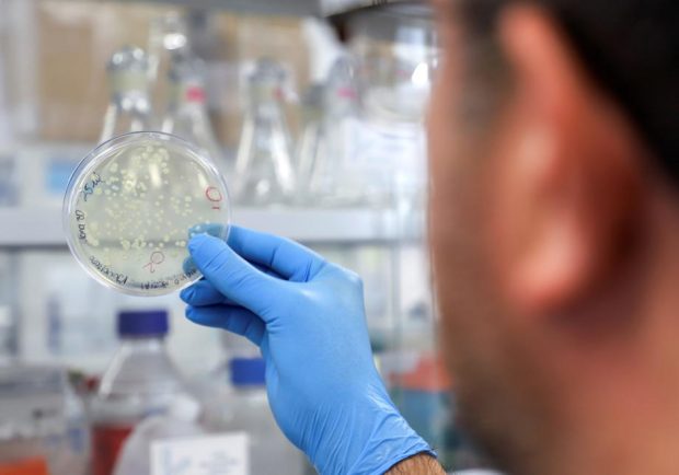 Un microbiolog arată cum, din cele 100 de zile necesare unui vaccin contra Omicron, 90% sunt folosite pentru testele de siguranță