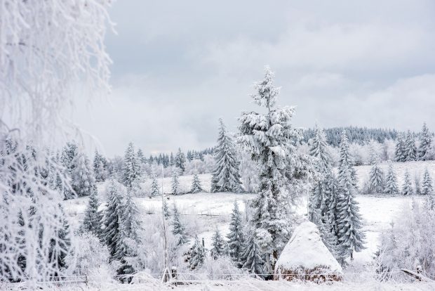 Localitatea care a devenit „polul frigului” din România. Au fost minus 20 de grade, noaptea