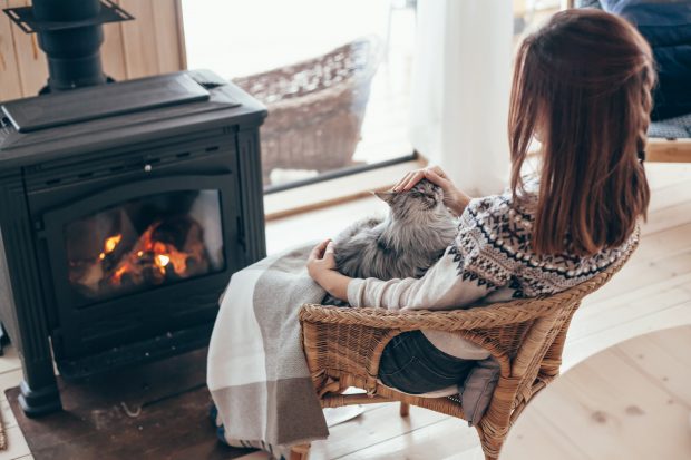 Britanicii, sfătuiți de un furnizor de energie să-și îmbrățișeze animalele pentru a se încălzi