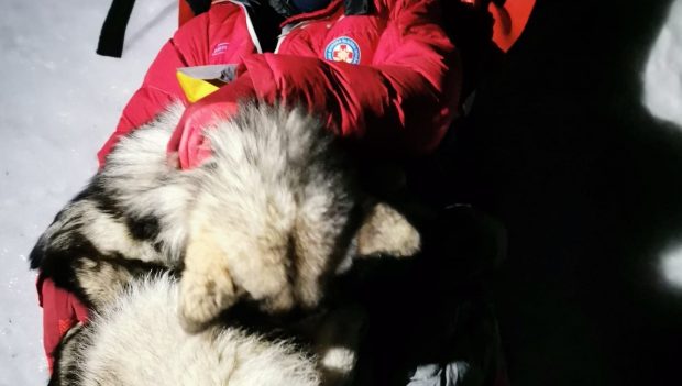 Un câine și-a salvat prietenul accidentat pe munte, în Croația, acoperindu-l cu trupul său timp de 13 ore