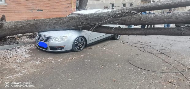 Trei mașini, distruse în Vaslui de un copac doborât de vântul puternic. Rafalele de peste 80 km/h au creat probleme în întregul județ
