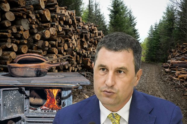 România mai are 29% din teritoriu păduri, Austria are 48%, dar ministrul mediului ne sfătuiește să ardem mai mult lemn, „ca austriecii”. Cât ardem noi și ei, de fapt?