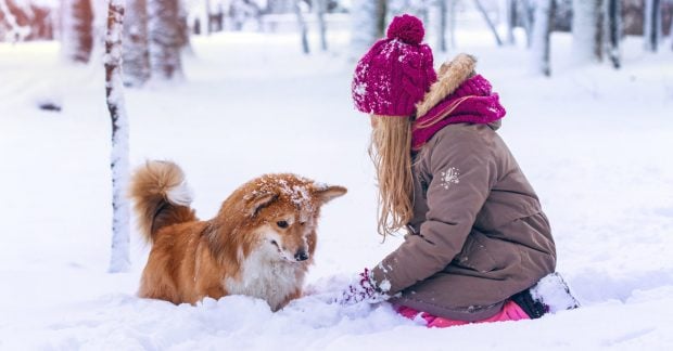 O fetiță din Rusia a supraviețuit unei nopți cu furtună de zăpadă îmbrățișând un câine ca să se încălzească