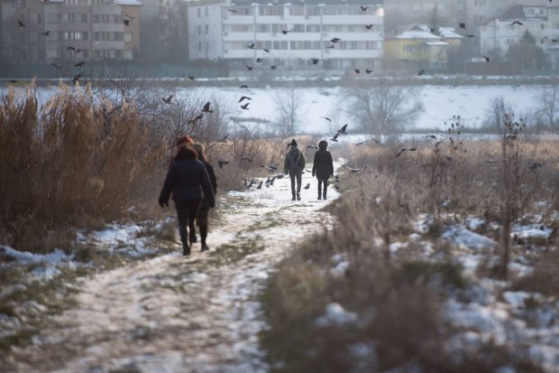 Cum va fi vremea în luna februarie. Prognoza meteo pentru ultima lună de iarnă