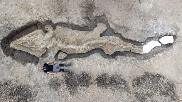 Rămăşiţele vechi de milioane de ani, ale unui prădător marin, lung de 10 metri, descoperite în Anglia