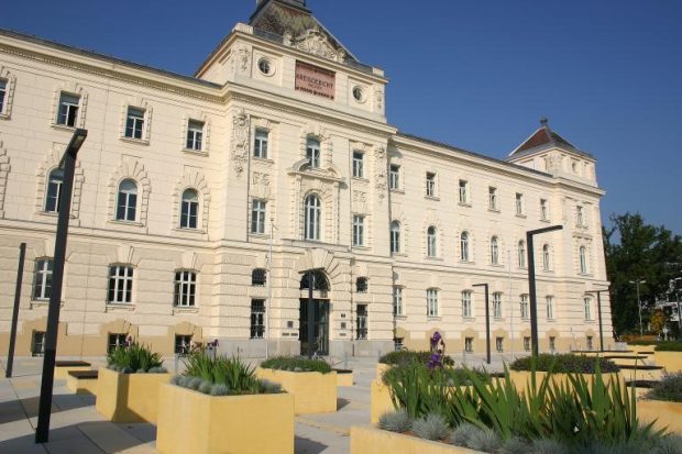 Un austriac, condamnat la nouă luni de pușcărie, după ce a postat pe Facebook o poză cu ouă și găluște prăjite. Care este explicația