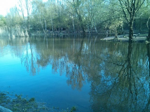 Bărbat scos în hipotermie dintr-un lac în care se aruncase pentru a scăpa de polițiști, în Germania