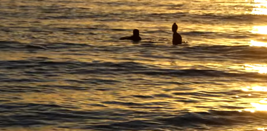 Doi concurenți de la „Survivor România”, surprinși singuri în mare. Andreea Tonciu a luat foc. „Mi se pare aberant. Ai bărbat acasă”