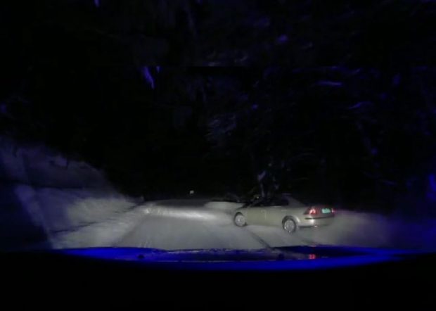 Tânăr din Baia Mare oprit cu focuri de armă de polițiști, după o cursă de zece kilometri prin oraș