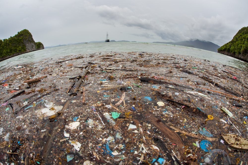 ”Marea insulă de Plastic” din Pacific