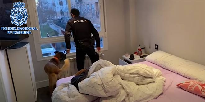 Un român a angajat șoferi de TIR, tot români, la firma lui din Spania și împreună au furat colete Amazon de peste un milion de euro, din camioane