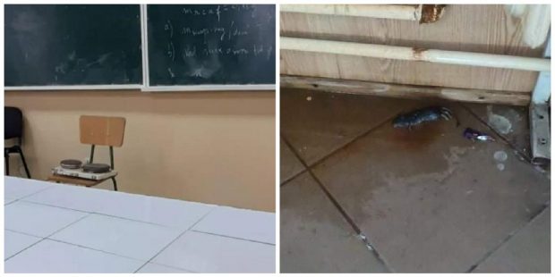 Imagini dintr-un liceu din Adjud: Încălzirea se face cu reșouri, pe hol a fost găsit un șobolan mort. Explicațiile conducerii