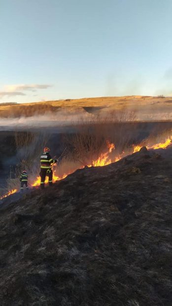 Opt incendii de vegetație, în județul Botoșani. 70 de hectare au ars în doar câteva ore