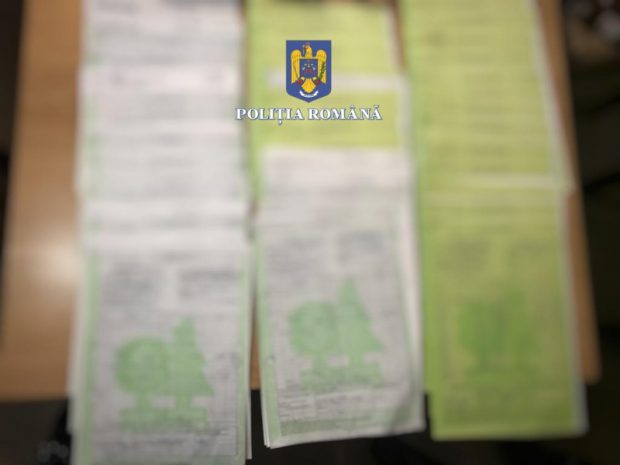 Percheziţii în trei județe. Sute de avize false eliberate pentru transportul a peste 6.000 de metri cubi de lemn