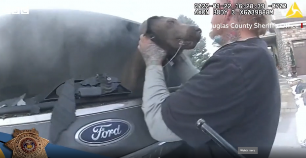 Momentul dramatic în care poliția din Colorado salvează un câine dintr-o mașină în flăcări