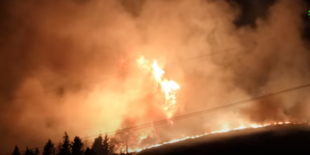 200 de hectare de pădure, mistuite de incendiu, în Elveția. Turiștii care l-au declanșat au sunat la pompierii din Germania: „Așa am găsit pe Google”