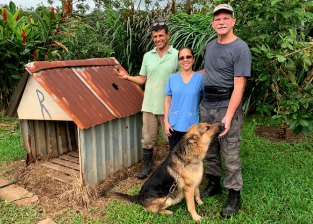 Cotețul lui Roky, un ciobănesc german din Costa Rica, scos la licitație pentru 300.000 de dolari. Ce-l face atât de valoros