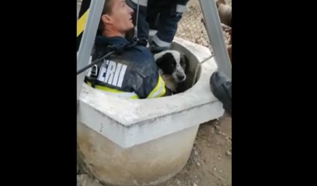 VIDEO | Un cățel a fost salvat de pompierii prahoveni după ce a căzut într-o fântână adâncă de 25 de metri