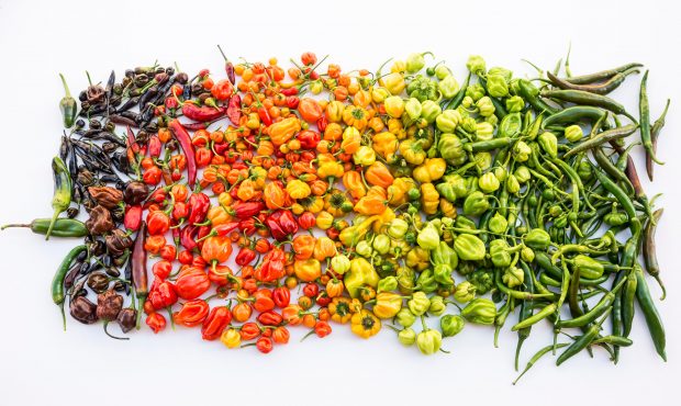 Cei mai iuți ardei. Câte unități pe scara Scoville are cel mai iute ardei