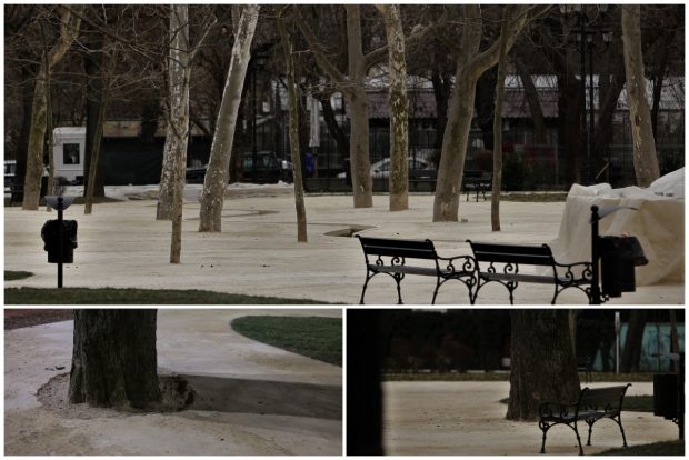 FOTO. Copacii dintr-un parc din București, îngropați într-un strat de calcar. Primarul S2, Radu Mihaiu, spune că trece apa prin el, specialiștii anunță dezastrul