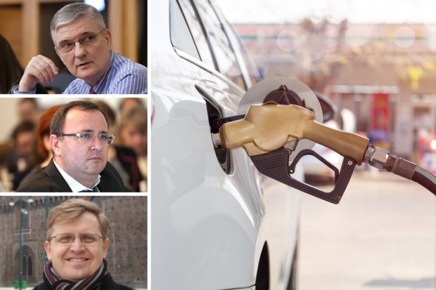 Economiștii nu cred că Guvernul va obține derogare de la Bruxelles pentru reducerea accizelor la carburanți. Dăianu: „Nu trebuie să facem experimente. Leul ar putea fi atacat”