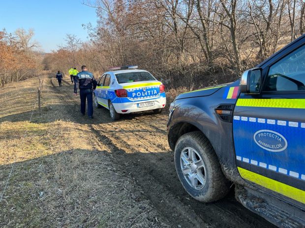 Zeci de păsări au fost găsite spânzurate în copaci într-o pădure din Botoșani. „Nu am văzut aşa ceva în viaţa mea”