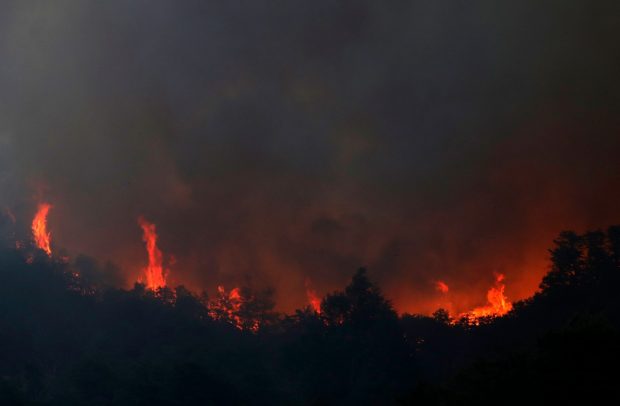 Argentina se confruntă cu incendii puternice de vegetație. „Sunt distruse cam 20.000 de hectare pe zi”