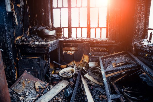 FOTO. O pisică a salvat un rus din incendiul care mistuia casa acestuia