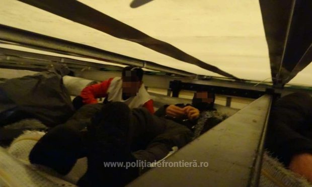 Patru migranți care au încercat să intre în România ascunși printre covoare au fost reținuți de polițiștii de frontieră