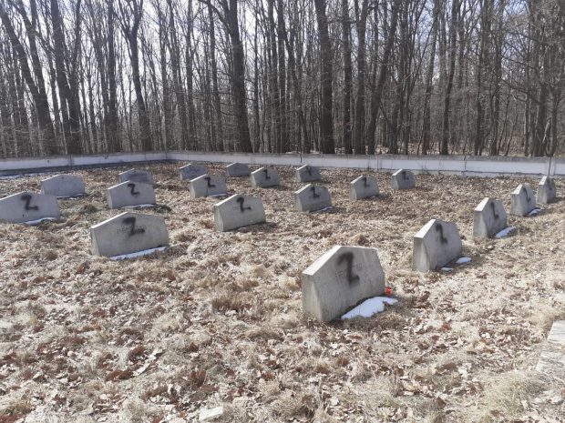 Mormintele soldaţilor ruşi dintr-un cimitir din Iași, marcate cu litera Z, simbolul invaziei ruse în Ucraina