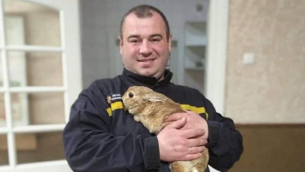 Pompierii din Harkov au adoptat un iepuraș găsit într-un bloc bombardat. „L-am scos din apartamentul în flăcări”
