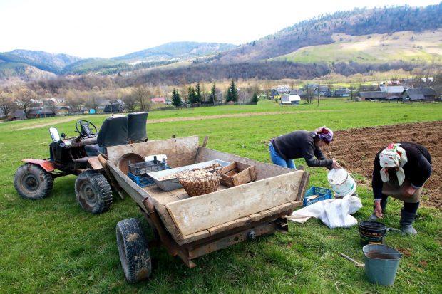 Frica unui agricultor ucrainean refugiat la Suceava: „Zelenski ne-a spus să revenim, că nu ne va mobiliza dacă însămânțăm. Dar dacă ne recrutează apoi?”