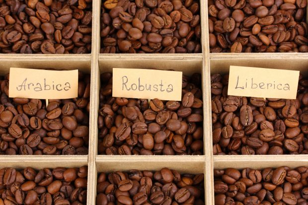 Care este diferența dintre cafea Arabica și Robusta