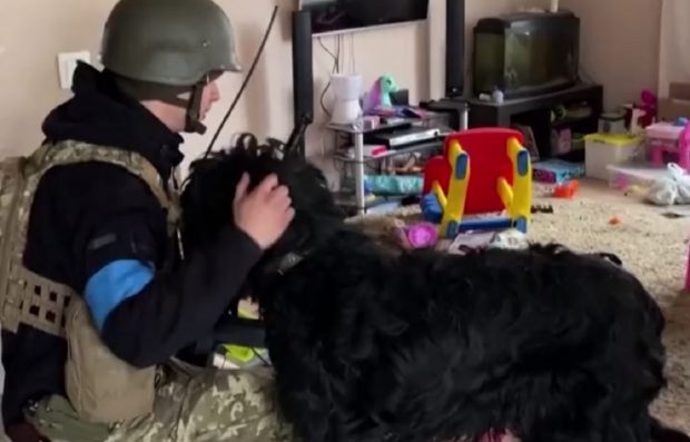 VIDEO | Soldații ucraineni au salvat un câine abandonat într-un apartament părăsit din Kiev