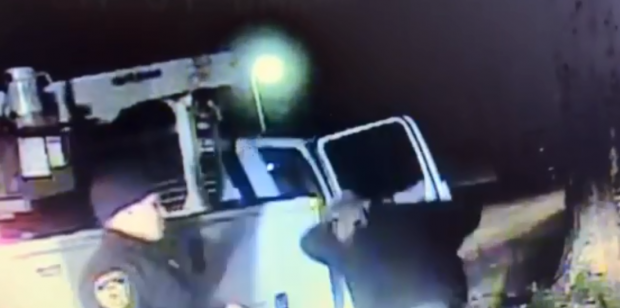 O veveriță agresivă a atacat doi polițiști, în SUA. „Stați liniștiți, nimeni nu a fost rănit”