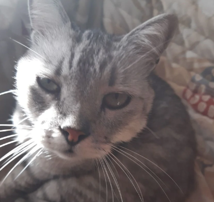 Mărturia emoționantă a unei ucrainene care a fugit de război: „Bunătatea oamenilor ne copleșește, Dumnezeu ne ține în palme. Multsumesk, Romania”