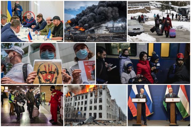 11 articole care n-ar fi trebuit să vă scape în această săptămână