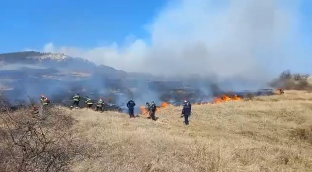 Incendiu puternic de vegetație într-o comună din judeţul Buzău, o suprafaţă de 10 hectare este afectată