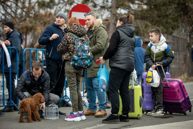 În ce domenii lucrează refugiații ucraineni care şi-au găsit de muncă în România. Datele prezentate de autorități