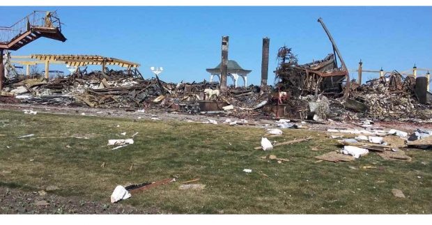 Parc dendrologic de lângă Kiev, distrus de bombardamente: „Au luat cu ei chiar și uneltele de grădină”