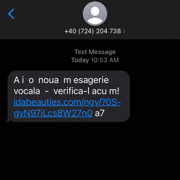 Atac cibernetic pe scară largă în România, cu un virus troian trimis prin SMS. Avertismentul Poliției