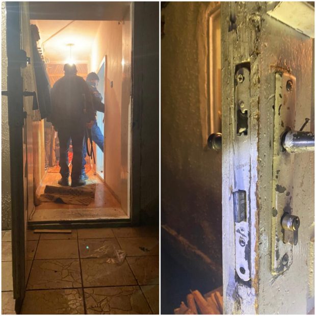 Urs împușcat în județul Harghita după ce a intrat într-o casă nelocuită și a devenit agresiv cu jandarmii