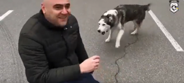 VIDEO | Momentul în care un bărbat din Bucha își reîntâlnește câinele pe care îl pierduse în timpul atacurilor ruse