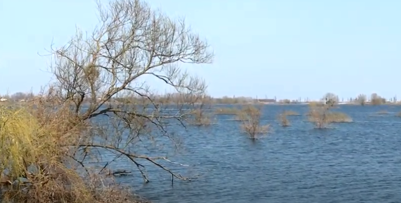 Locuitorii din Demîdiv și-au inundat satul pentru a împiedica avansarea trupelor ruse. „Așa am salvat Kievul”