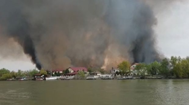 Incendiu puternic de vegetație în Delta Dunării. Anunțul făcut de autorități