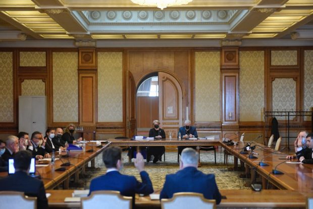 Dezbatere despre „cazul Emilia Şercan” şi intimidarea jurnaliştilor de investigaţie la Parlament