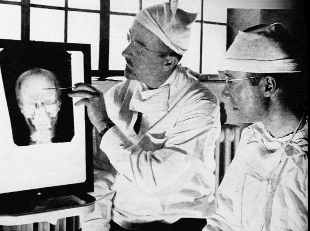 Studiul creierului, de la cimpanzei până la inteligența artificială. „Creierul lui Einstein era de mărime chiar puțin sub medie. La Lenin, comuniștii au oprit experimentele”